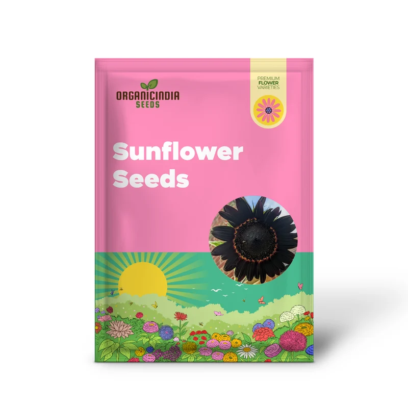 Fresh Deep Black Sunflower Seeds for Planting - Garden Growth for 50 Pcs