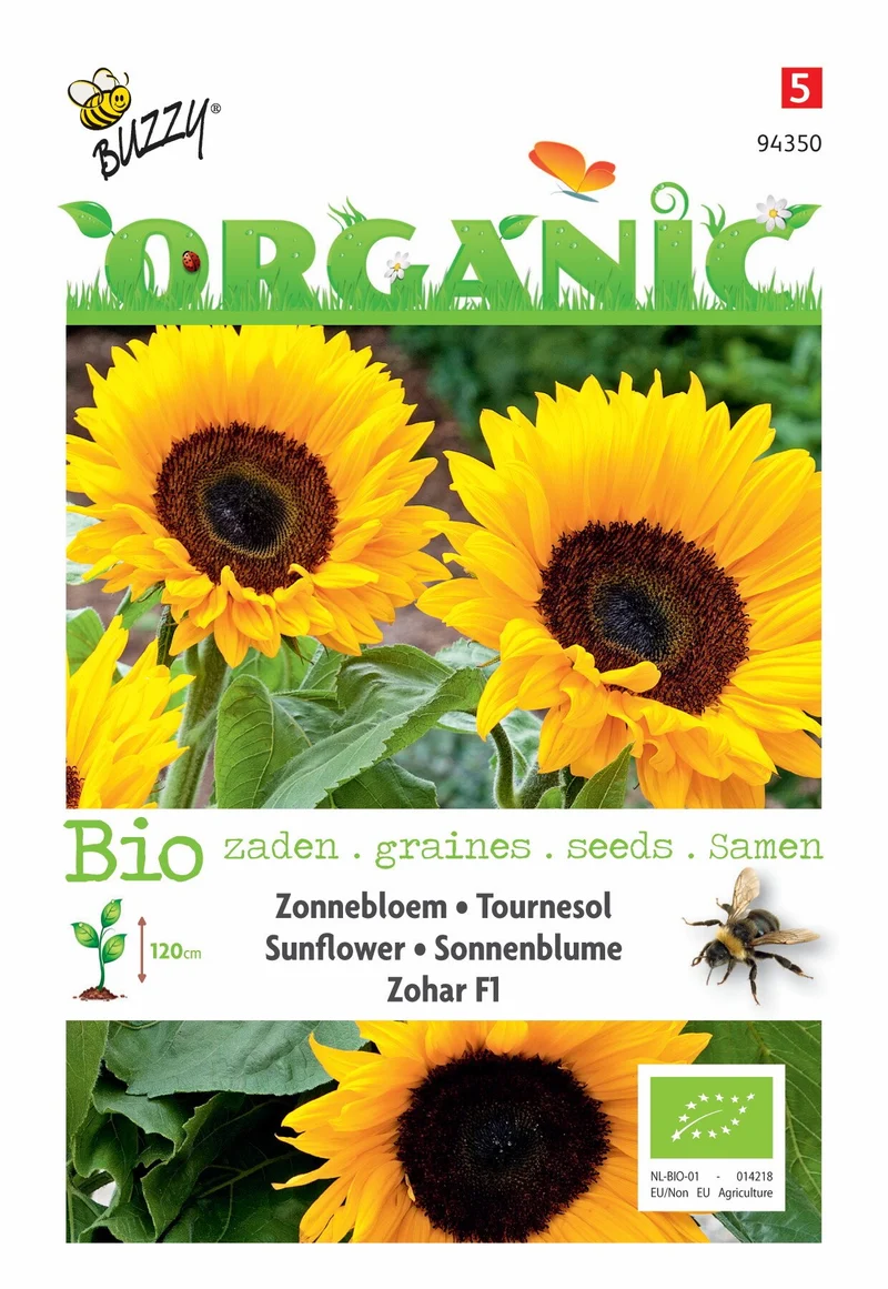Helianthus, Sonnenblume Zohar F1 (BIO)