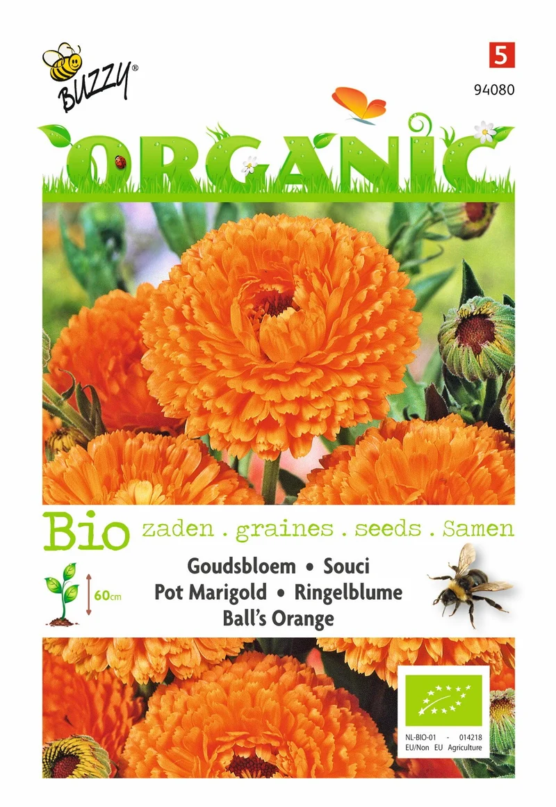Ringelblume, Marigold Ball's Orange (BIO)