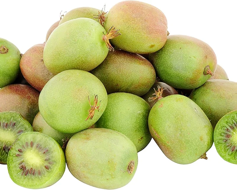 Hardy Kiwi Seeds - Actinidia Arguta Perennial Climber for Trellises & Fences, GMO-Free, Fragrant Fruit & Berries - 10Pcs Fruit Seeds