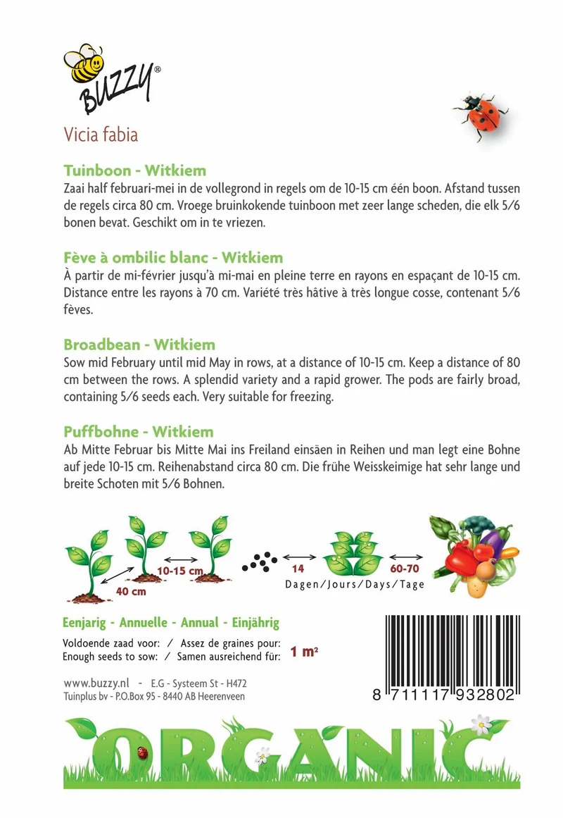 Weiße Sprossen von dicken Bohnen (Bio)