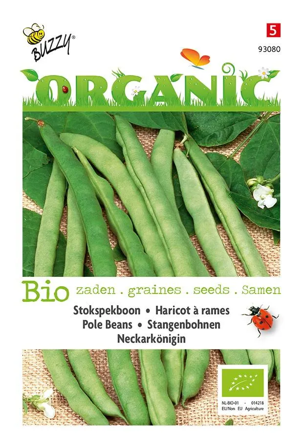 Stick bean Neckarkönigin (BIO)