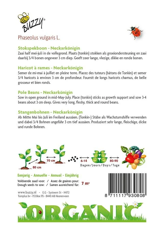 Stick bean Neckarkönigin (BIO)