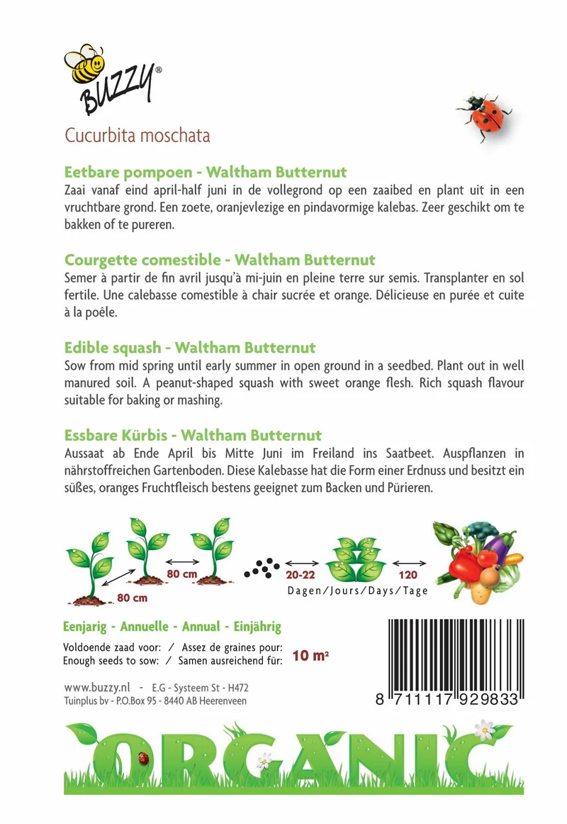 Essbarer Kürbis Waltham Butternut (Bio)