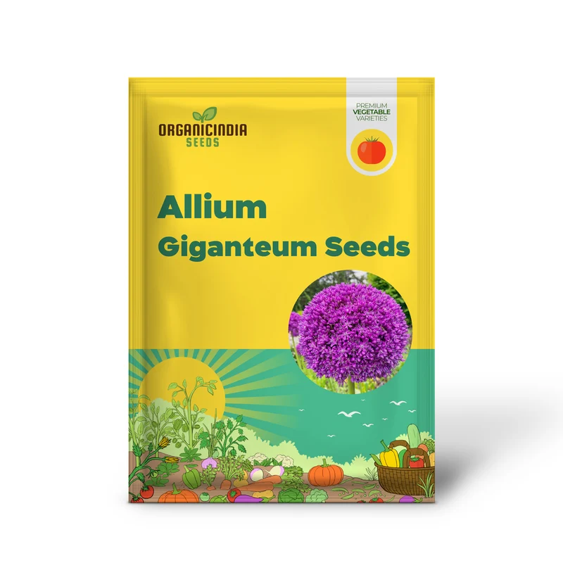Giant Purple Allium Giganteum Seeds Organic Ornamental Onion Perennial Flower - Non-GMO Beautiful Garden Plant Seeds
