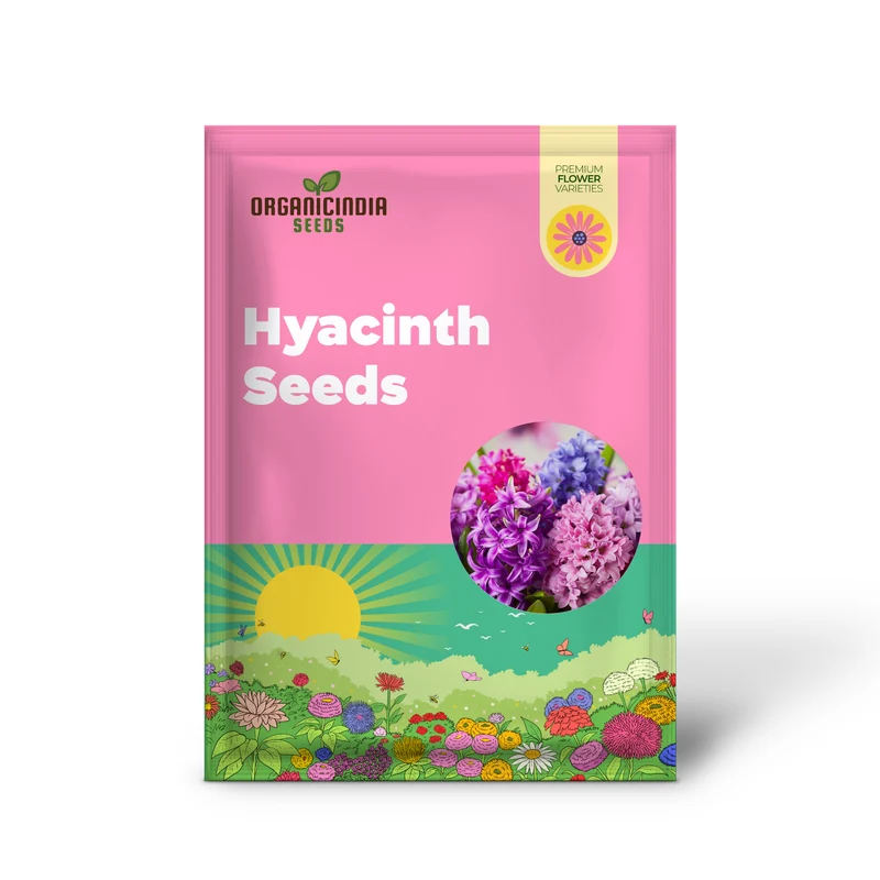 Hyacinth Seeds - Hyacinthus Orientalis, Perennial & Non-GMO, Low Maintenance with Exotic Eye Appeal - 100 Pcs