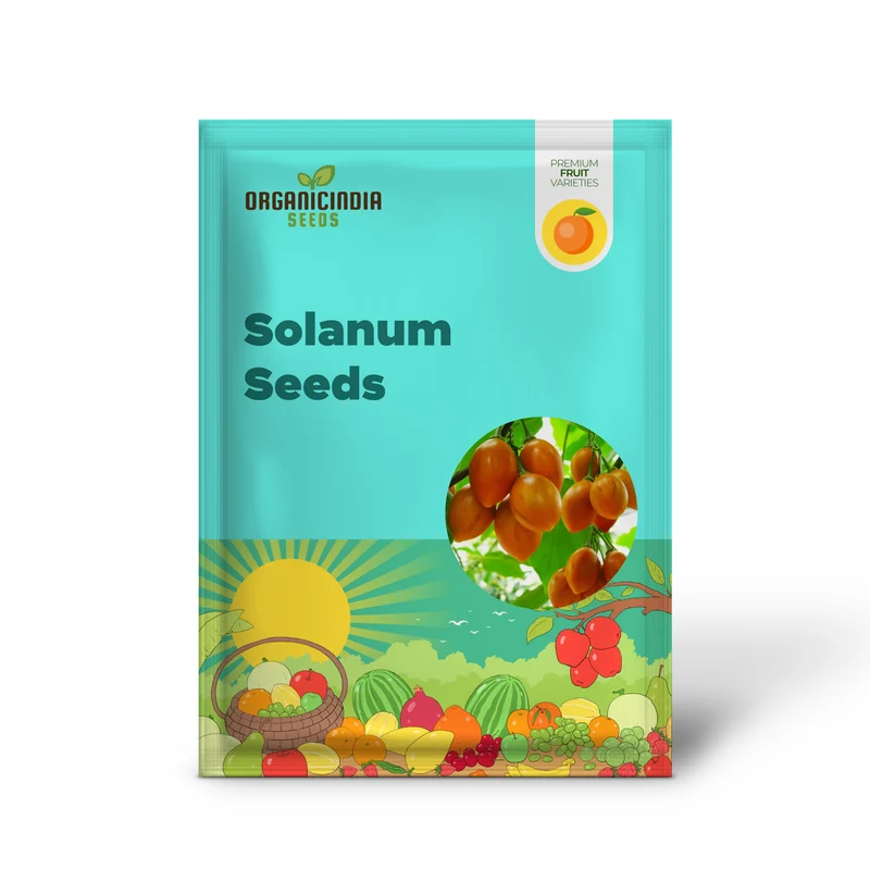 Solanum Seeds (Tree Tomato, ) Perennial Herbaceous Shrub, Self Pollinating, Outdoor Patio Fruit And Berries