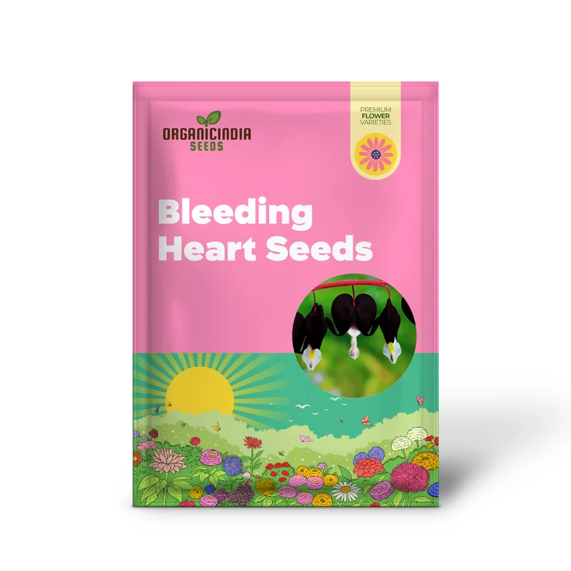 Black Bleeding Heart Seeds Perennial Cut Flowers, Deer And Rabbit Resistant, Attracts Butterflies, Ideal for Beds And Borders