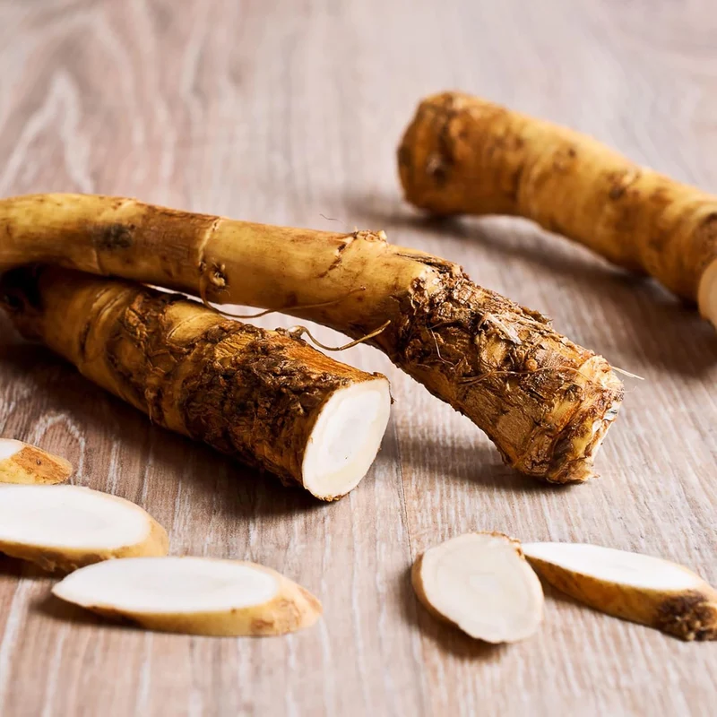 200 Pcs Horseradish Seeds | Armoracia Rusticana | Red Cloe Pepper Root Perennial Vegetable Seeds | GMO-Free | Ideal for Garden Containers & Outdoor Planting