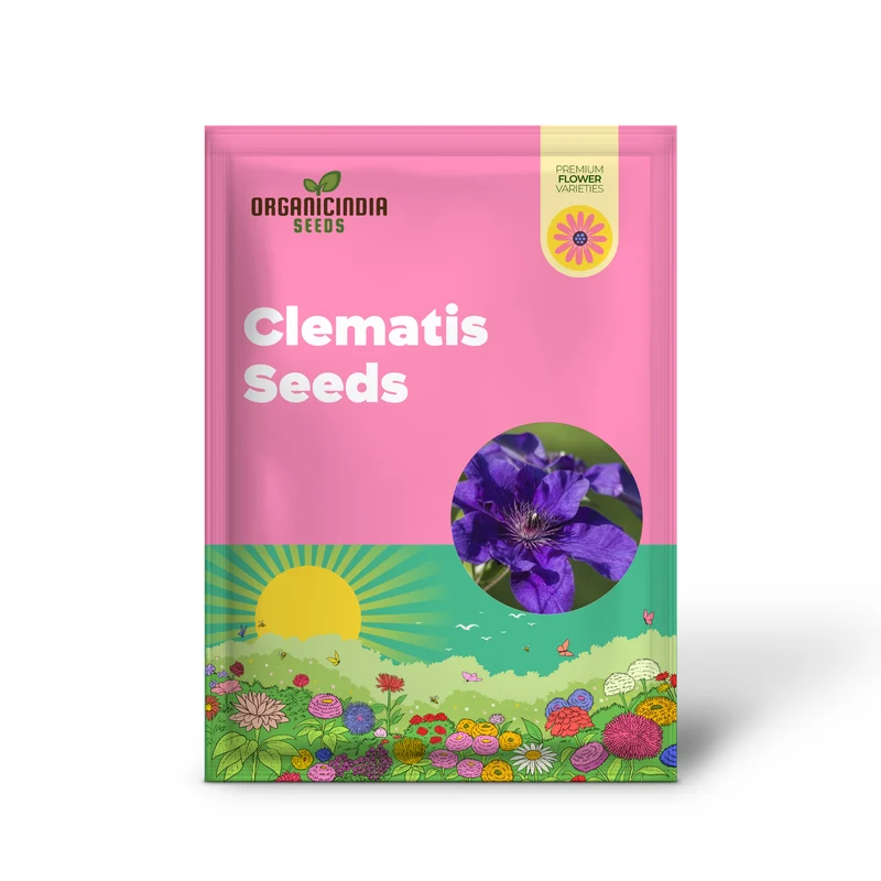 50 Dark Purple Clematis Seeds | Blooming Climbing Perennial Flowers | Flower Vine | Perennial Climber
