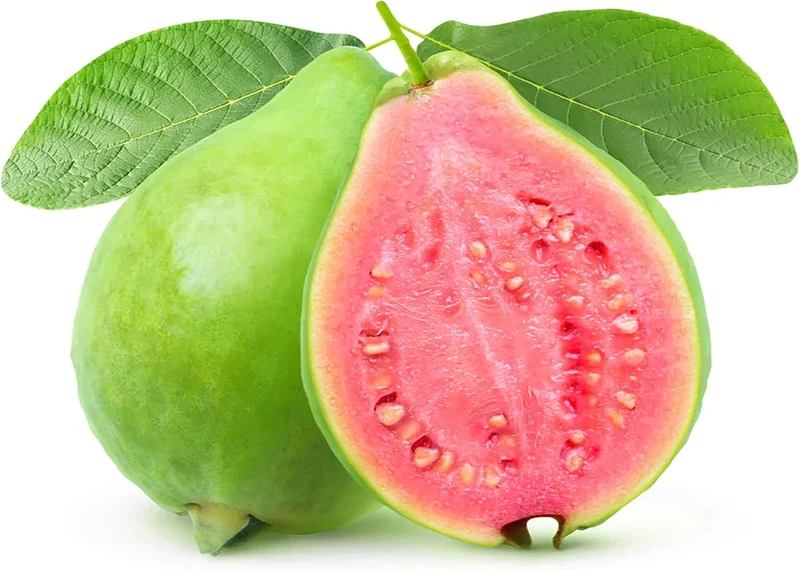 Guava Seeds - Red Psidium Guajava, Sweet Fragrant Tropical Fruit Seeds, Perennial – 50 Pcs