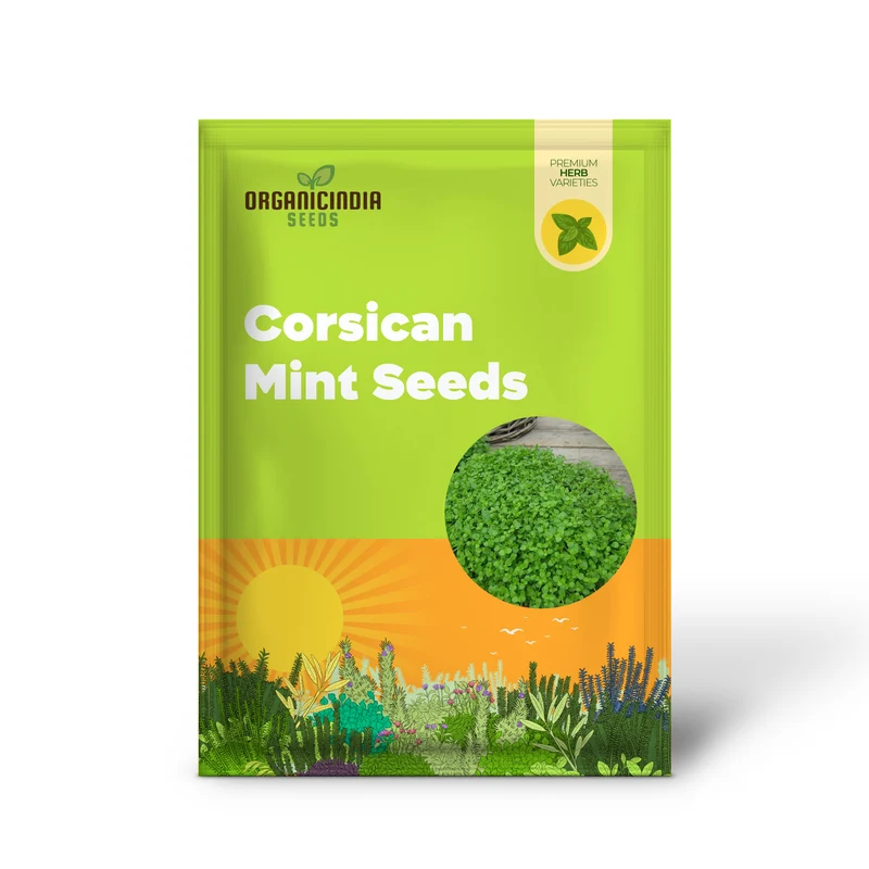 Corsican Mint Seeds Mentha Requienii - Low Growing Perennial Herb, Aromatic Leaves for Culinary Uses, Low Maintenance Borders & Containers - 1000 Seeds