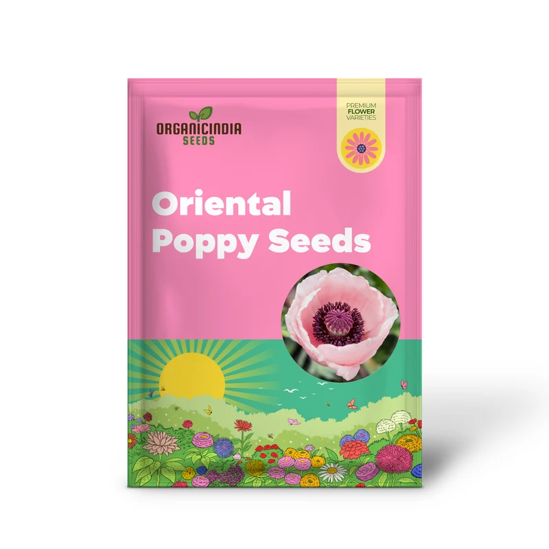 Pink Oriental Poppy Seeds - Herbaceous Perennial, Large Bright Blooms, Drought Tolerant & Pollinator-Friendly - 5 Pcs