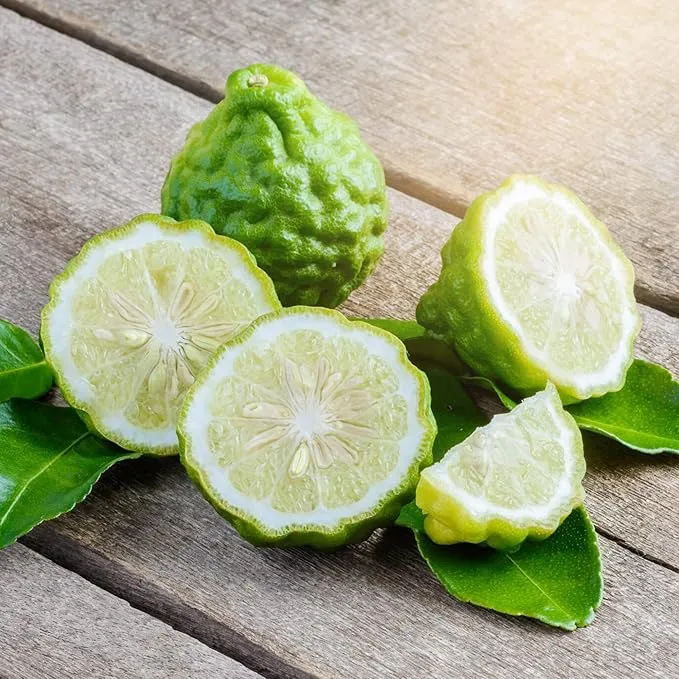 Bergamot Orange Seeds - Citrus Bergamia, Perennial Evergreen Edible And Ornamental Bonsai Outdoor Patio Fruit Tree Seeds