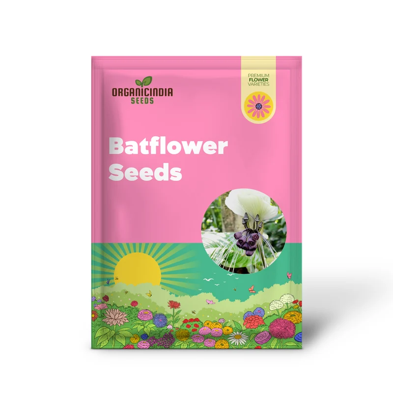 Tacca Integrifolia White Batflower Seeds - Tropical Ornamental, GMO-Free, Ideal for Indoor Containers - 5 Pcs