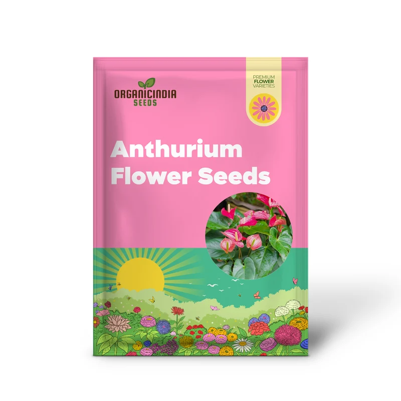 Anthurium Seeds (Flamingo Flower Seeds) - Evergreen Perennial for Indoor and Outdoor Containers