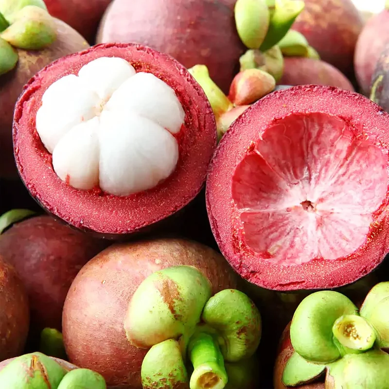 Mangosteen Seeds - Sweet Evergreen Tropical Fruit, GMO-Free for Garden
