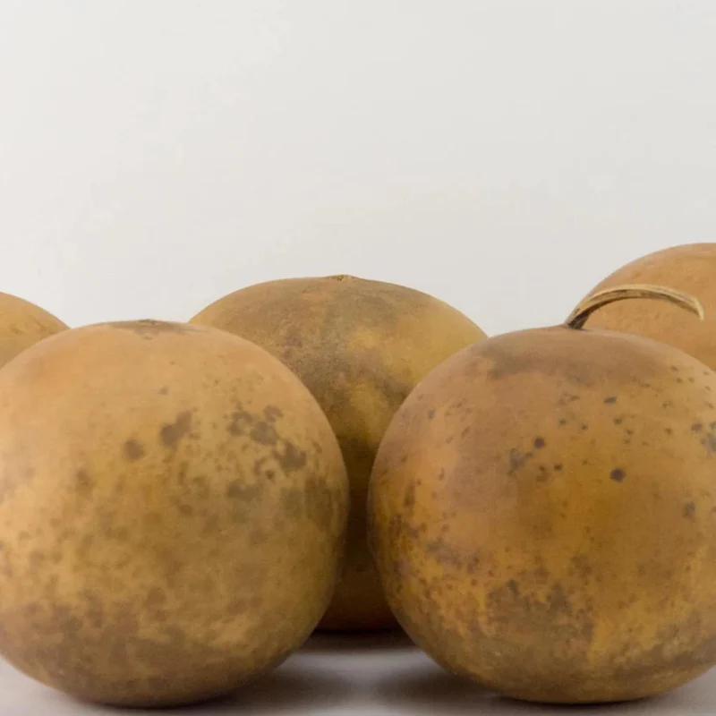 Cannonball Gourd Seeds Ideal for Birdhouses, Ornamental Edible Garden And Outdoor Trellis