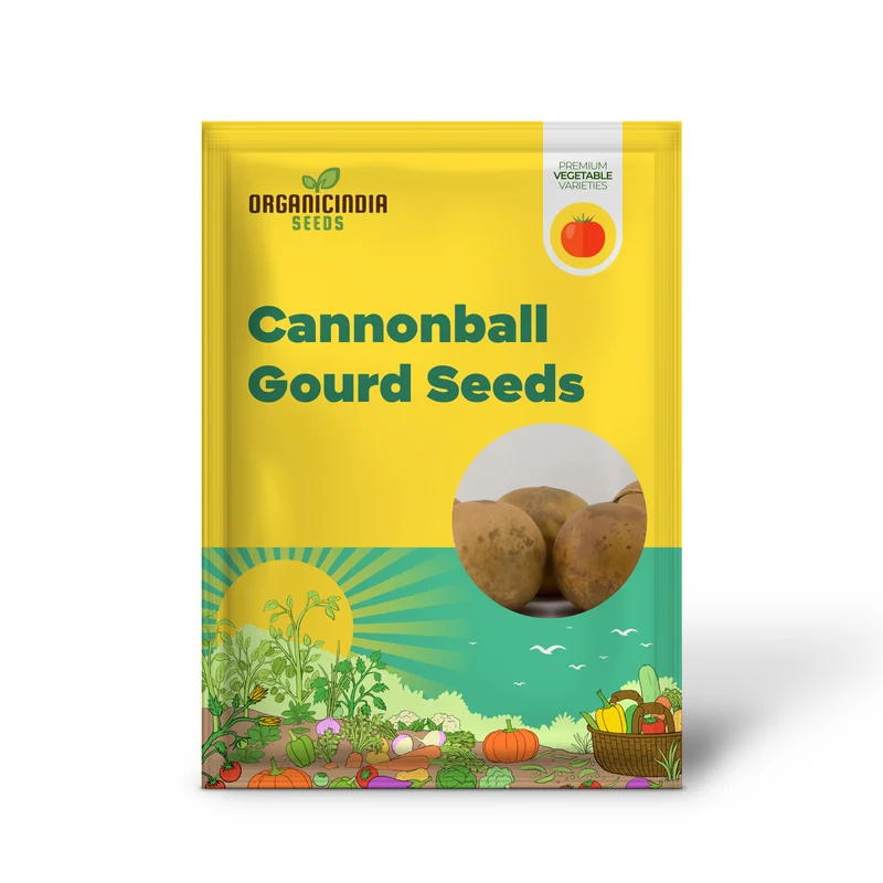 Cannonball Gourd Seeds Decorative And Edible Outdoor Trellis