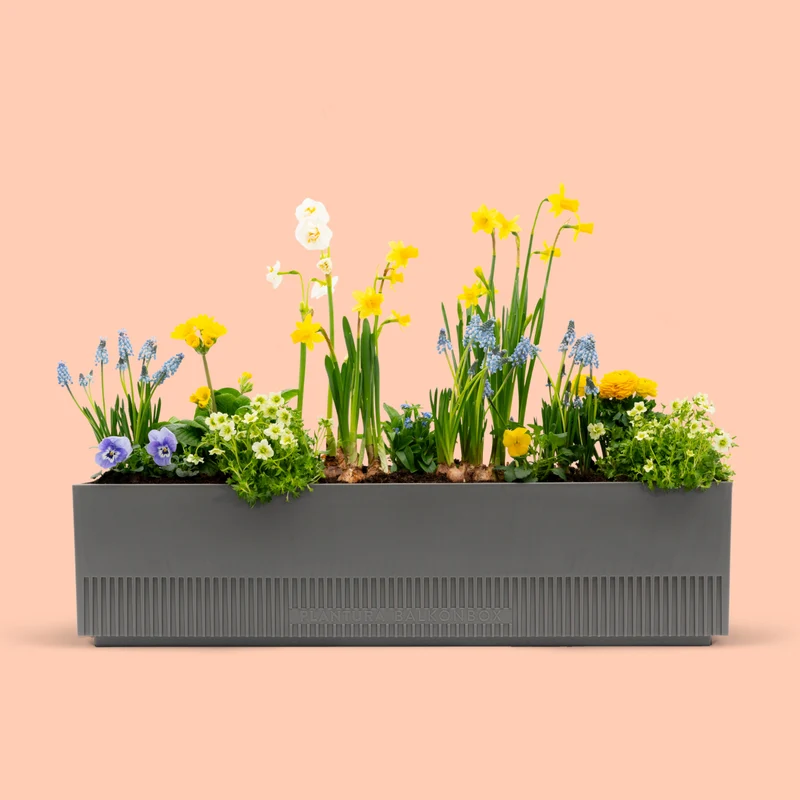 Balkonbox Spring Breeze