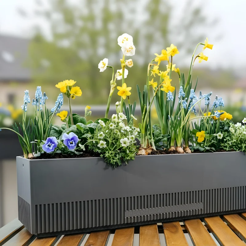 Balkonbox Spring Breeze
