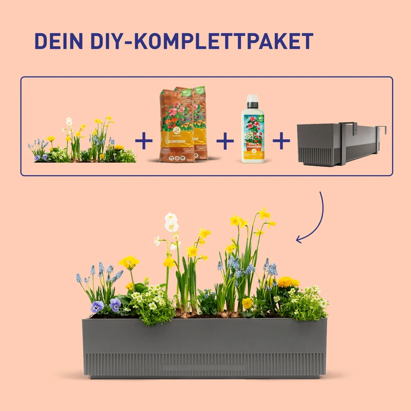Balkonbox Spring Breeze