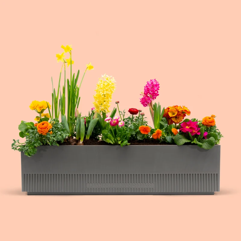 Balkonbox Floral Rainbow