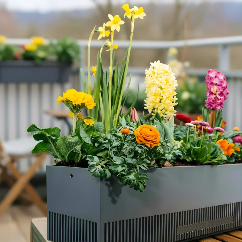Balkonbox Floral Rainbow