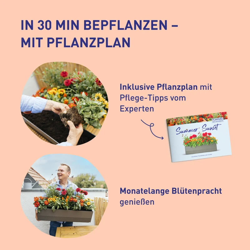 Balkonbox Floral Rainbow