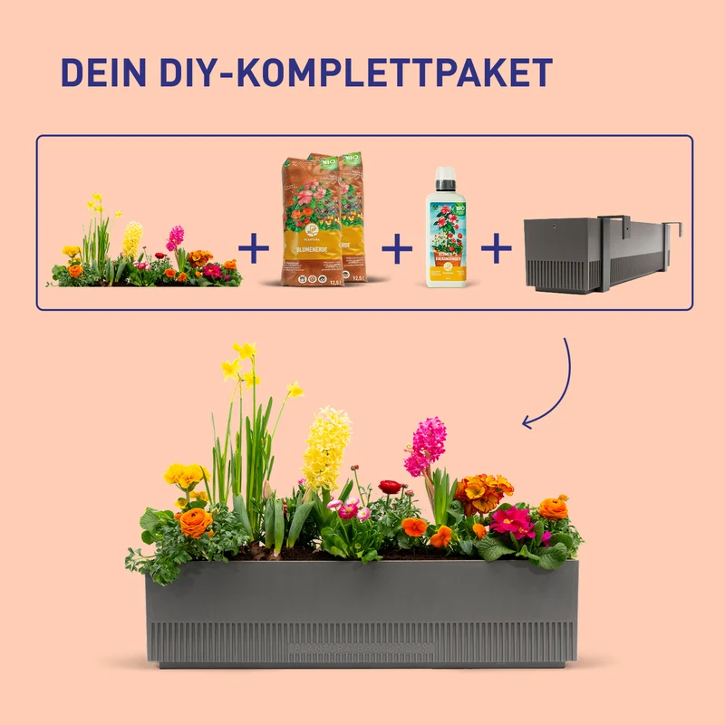 Balkonbox Floral Rainbow