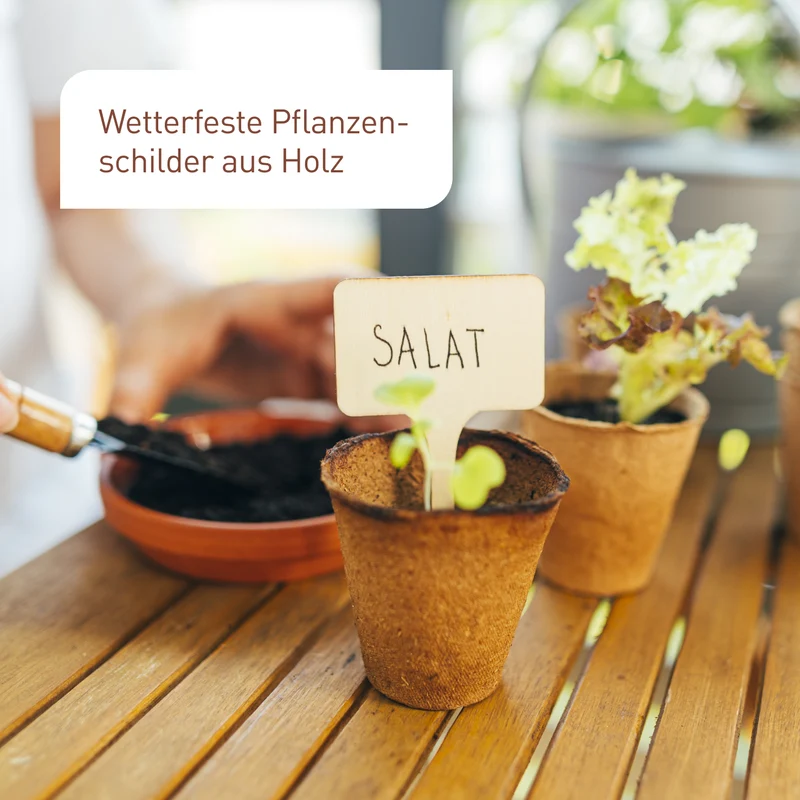 Pflanzenschilder aus Holz 50 Stück