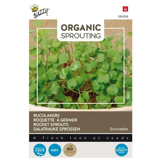 Rucola (Bio)