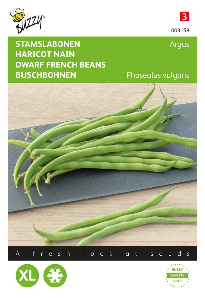 Standard grüne Bohnen Haricot Vert Argus