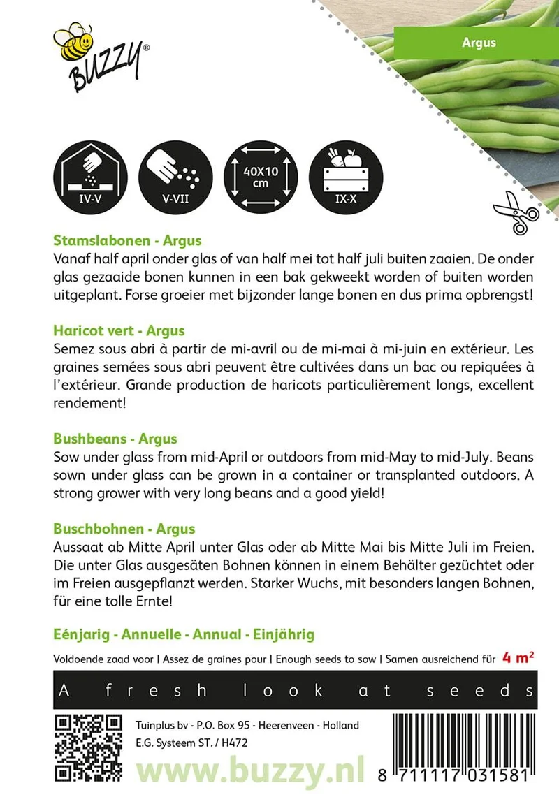 Standard grüne Bohnen Haricot Vert Argus