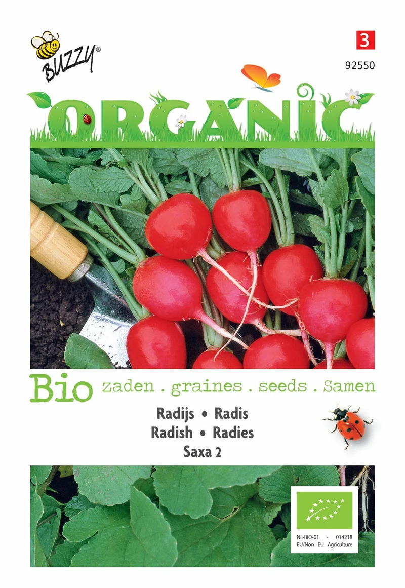 Radieschen Saxa 2 (BIO)