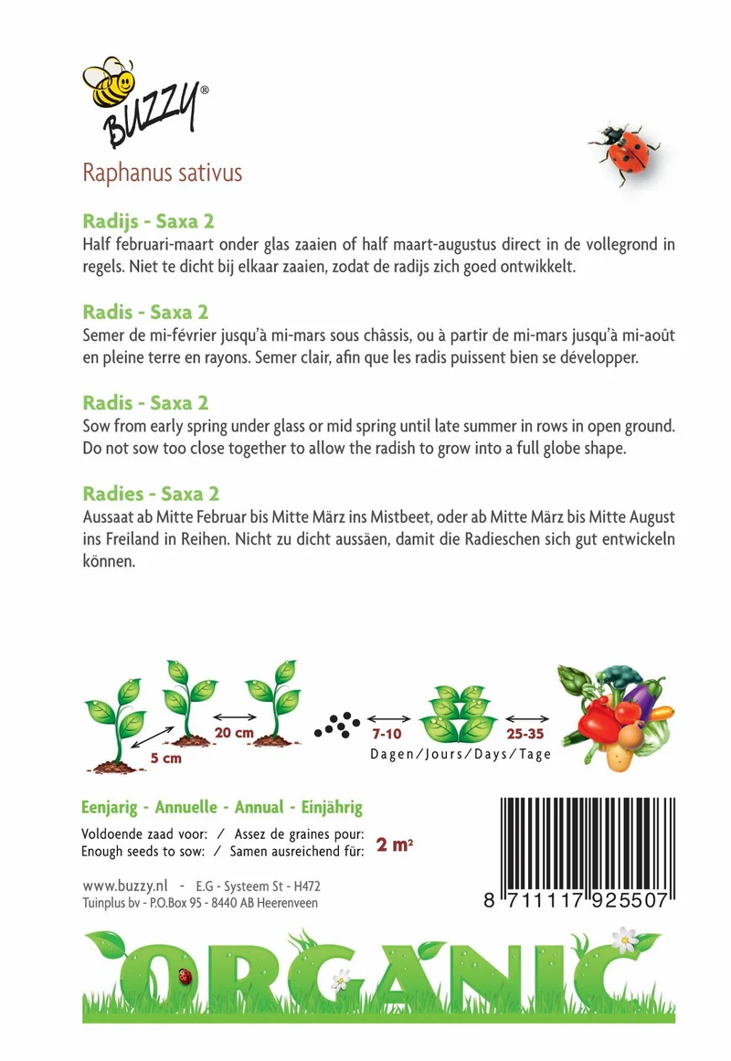 Radieschen Saxa 2 (BIO)