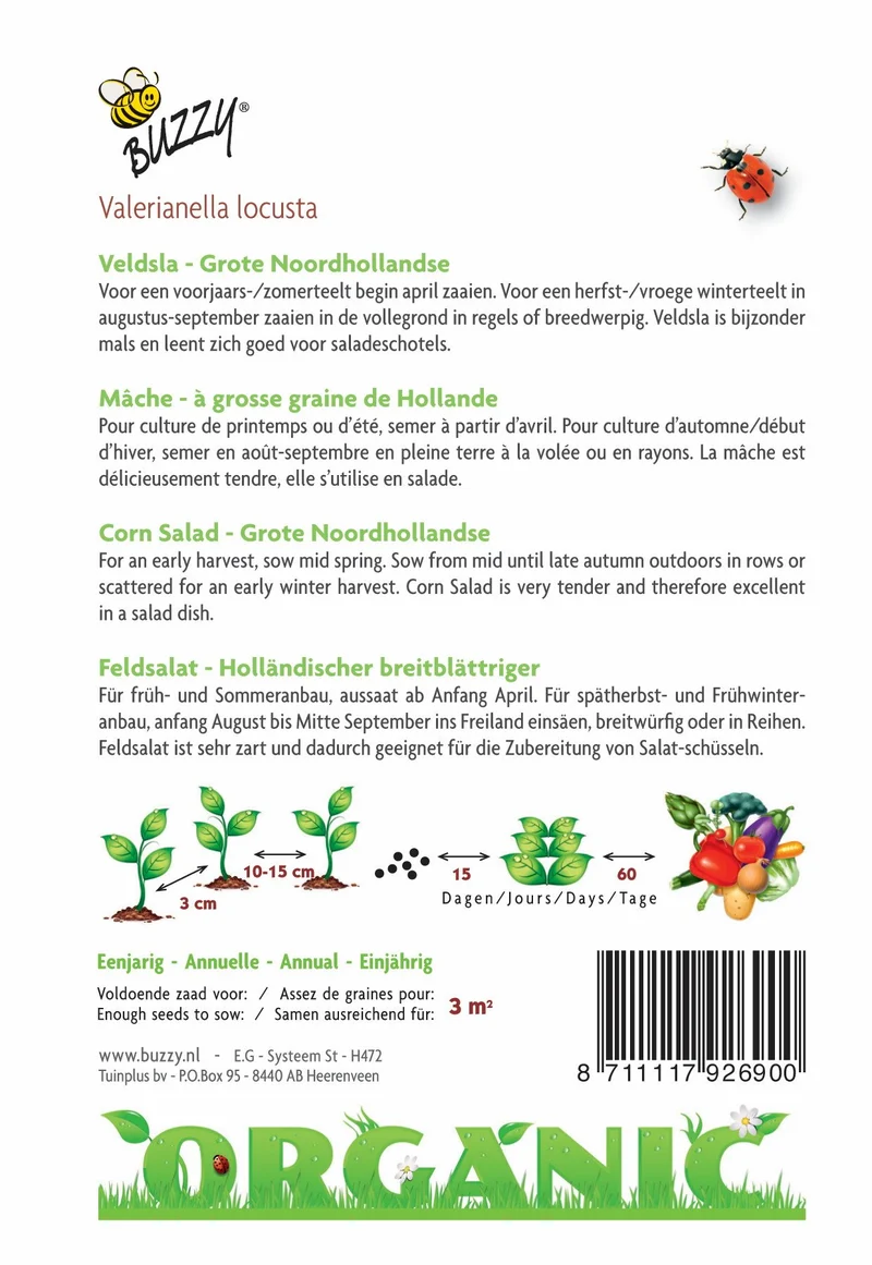 Feldsalat Groß Nordholland (BIO)