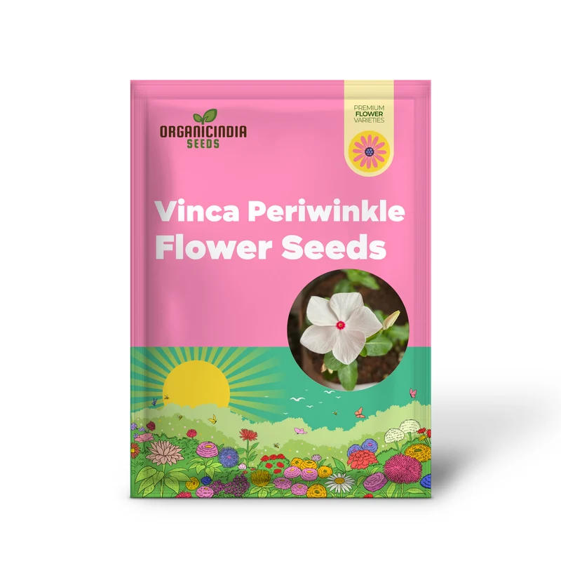 Vinca Seeds (Vinca Periwinkle Flower Seeds) - Easy Growing Blooms for Gardens & Borders