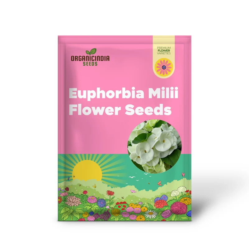 Euphorbia Milii Seeds – Crown of Thorns Flower for Garden