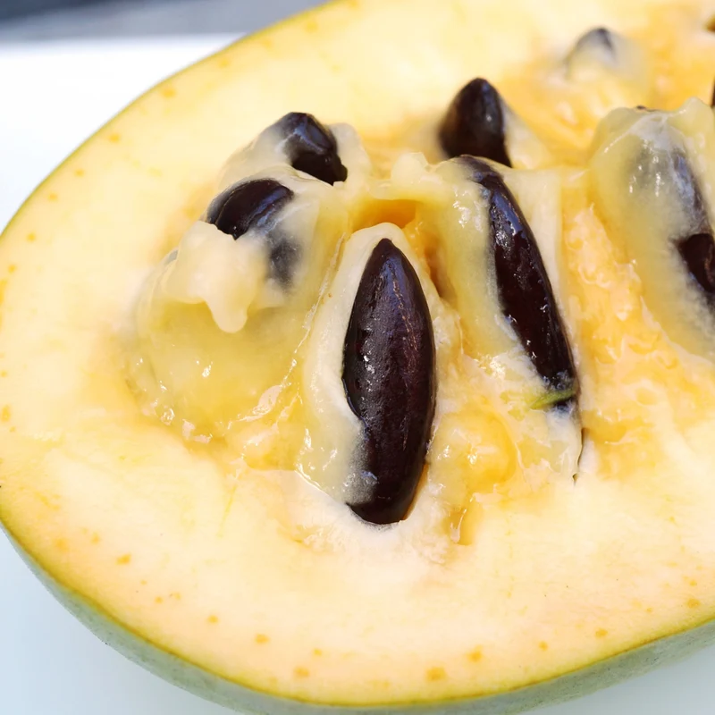 Entdecke mich: Indianerbanane Pawpaw