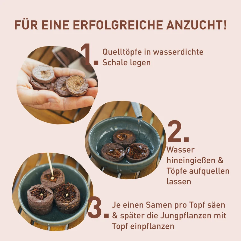 Quelltöpfe aus Kokosfaser 85 Stück