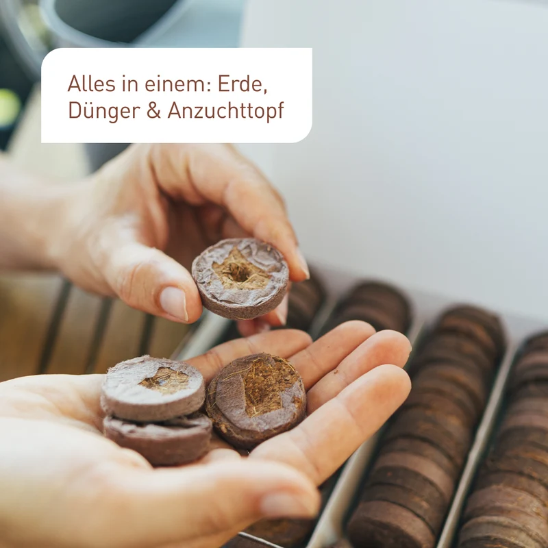 Quelltöpfe aus Kokosfaser 85 Stück