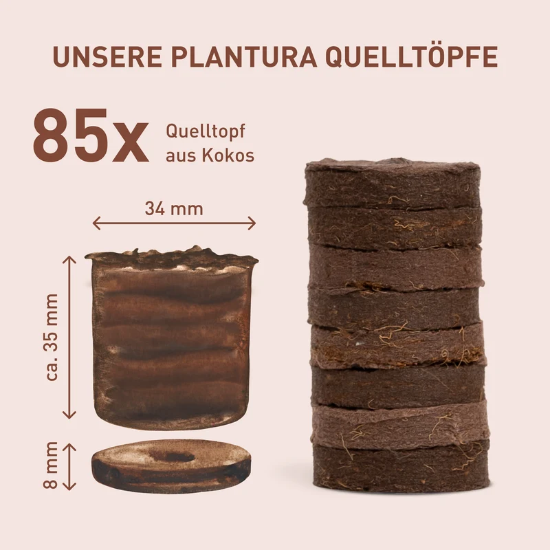 Quelltöpfe aus Kokosfaser 85 Stück