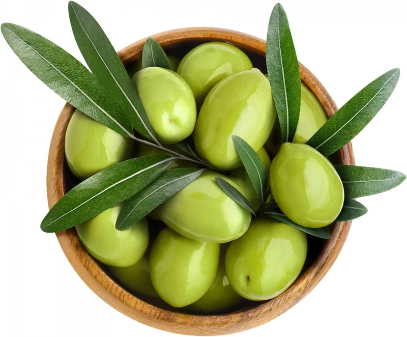 Olive Fruit Tree Seeds for Planting Non GMO, Evergreen Perennial