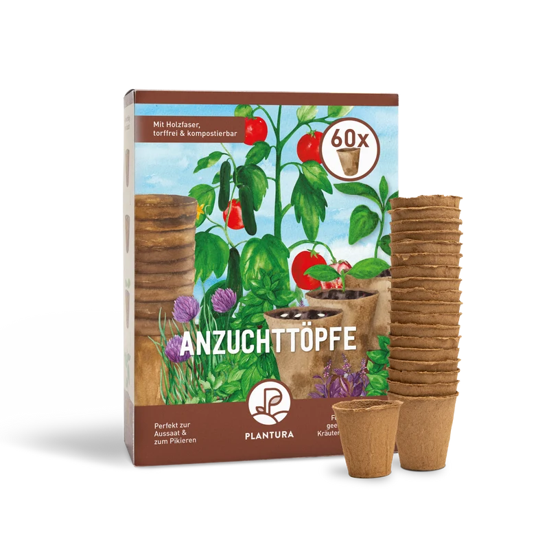 Anzuchttöpfe aus Holzfaser 60 Stück