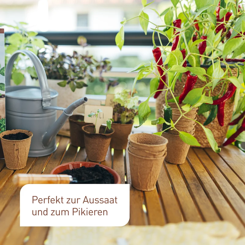 Anzuchttöpfe aus Holzfaser 60 Stück