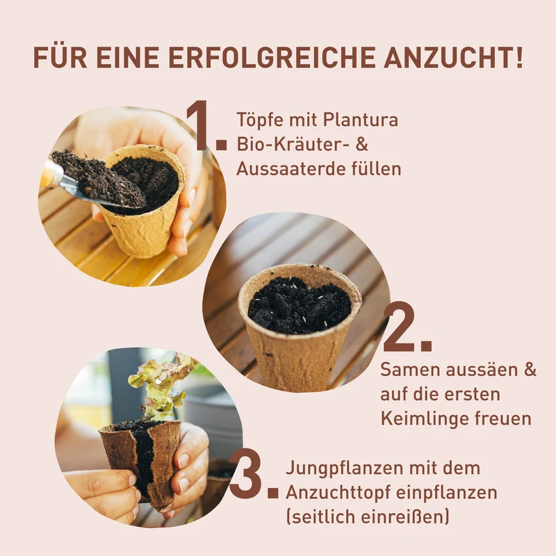 Anzuchttöpfe aus Holzfaser 60 Stück