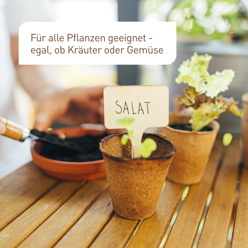 Anzuchttöpfe aus Holzfaser 60 Stück
