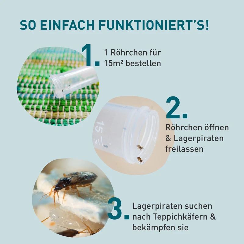 Lagerpiraten gegen Teppichkäfer, Pelzkäfer, Kleidermotten & Co.