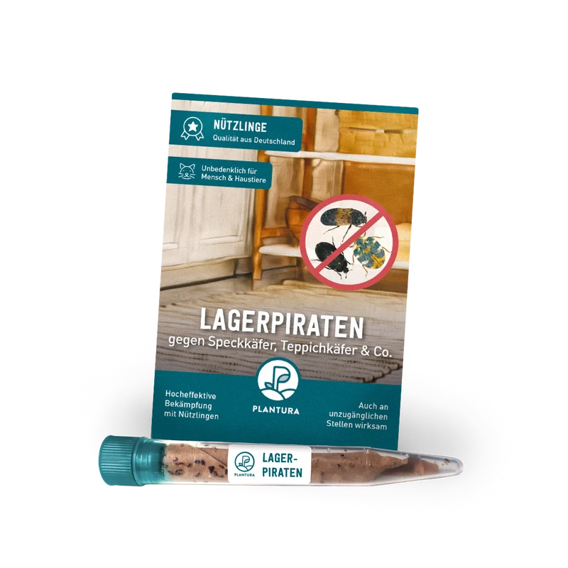 Lagerpiraten gegen Speckkäfer, Reismehlkäfer & Co.